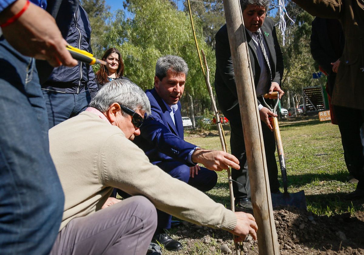 Distribuirán 28 mil ejemplares en el Plan Provincial Forestal