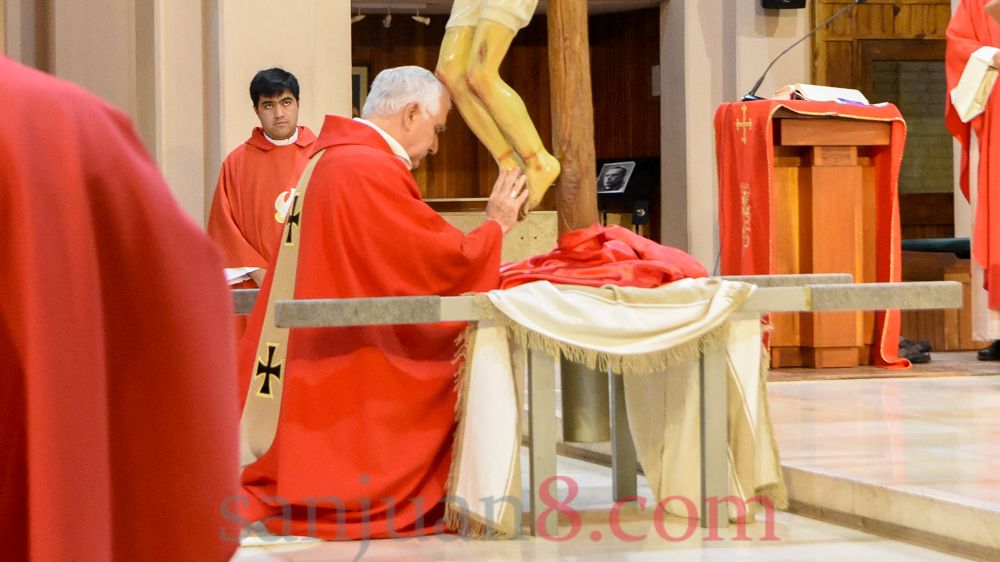 Coronavirus: en un Viernes Santo atípico, Monseñor Lozano encabezó la Celebración de la Pasión (Fotos: sj8)