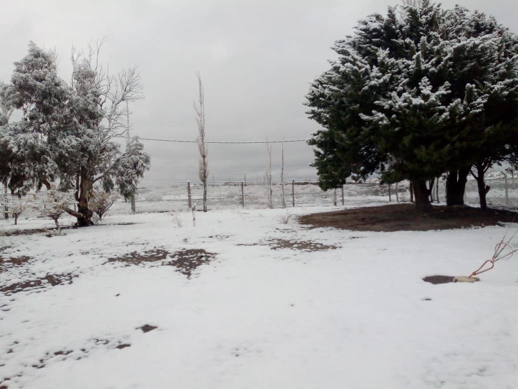Nieve en Pismanta