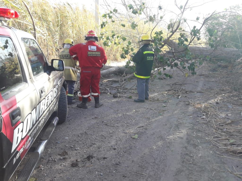 Caídas de árboles e incendios