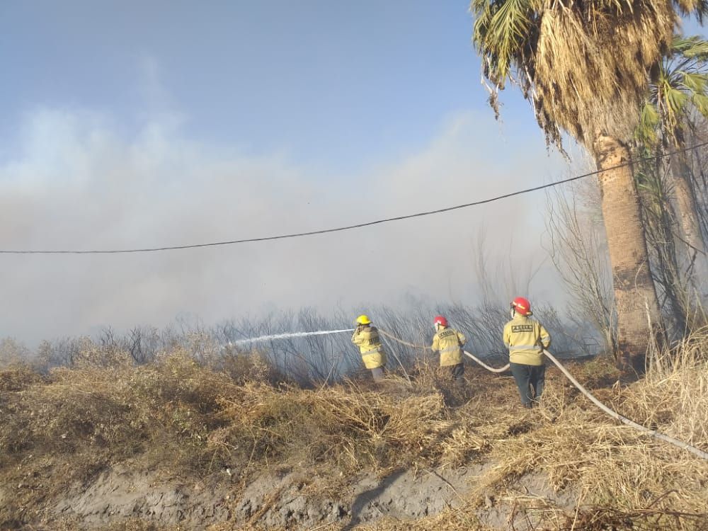 Caídas de árboles e incendios