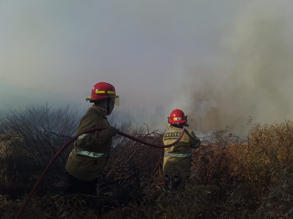 Caídas de árboles e incendios