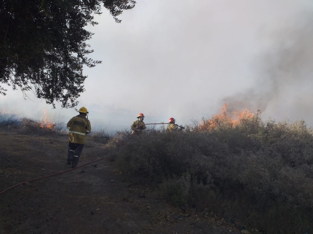 Caídas de árboles e incendios