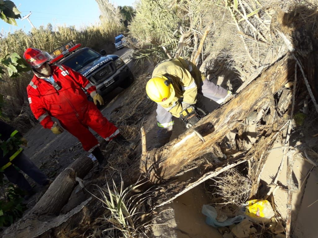 Caídas de árboles e incendios