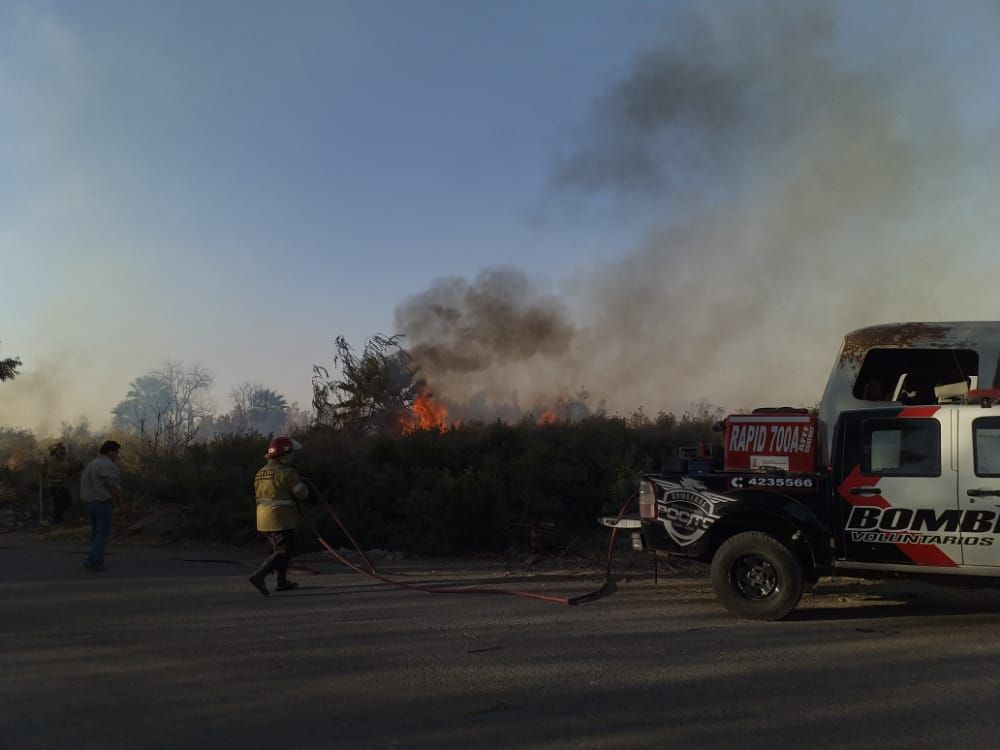 Caídas de árboles e incendios