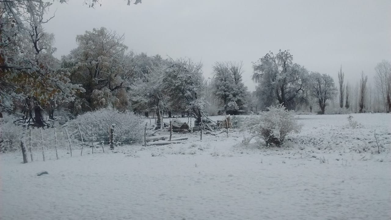 Bella Vista-Nieve