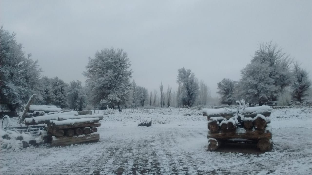 Bella Vista-Nieve