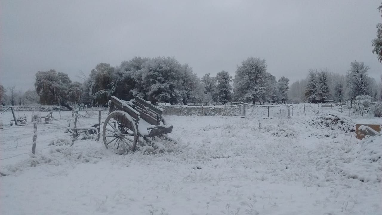 Bella Vista-Nieve