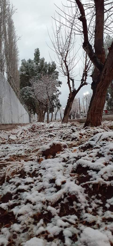 Nieve en Calingasta