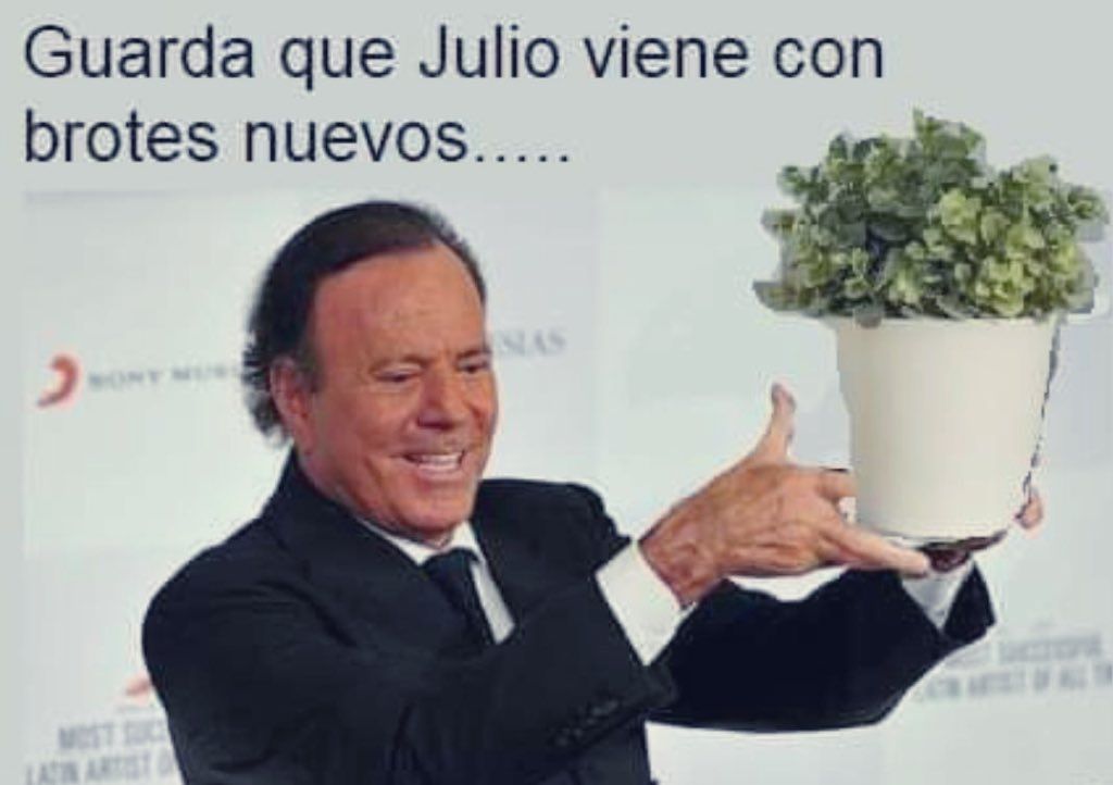 Los memes de Julio.