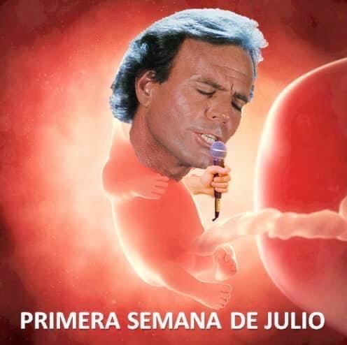 Los memes de Julio.