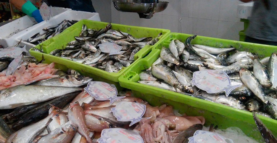 Intensificarán los controles de calidad de pescados y mariscos en Capital