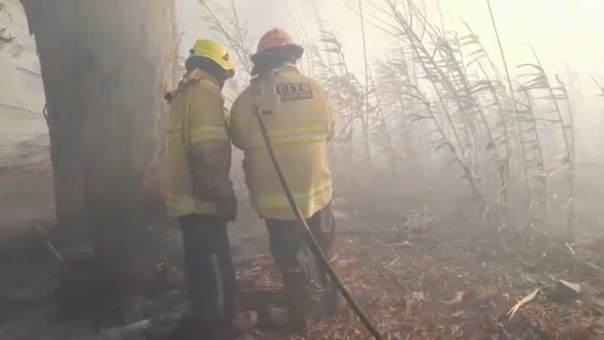 Evacuaron hasta animales por los incendios en el Médano de Oro