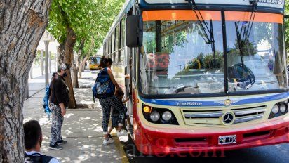 El servicio de colectivos será gratuito durante la jornada electoral