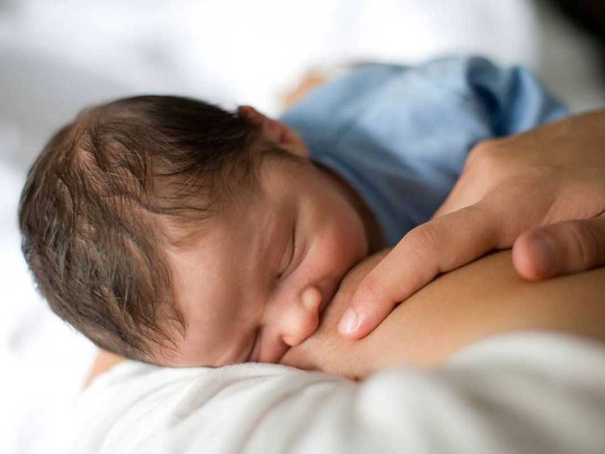 La leche materna de vacunadas contra el Covid transfiere inmunidad a sus bebes