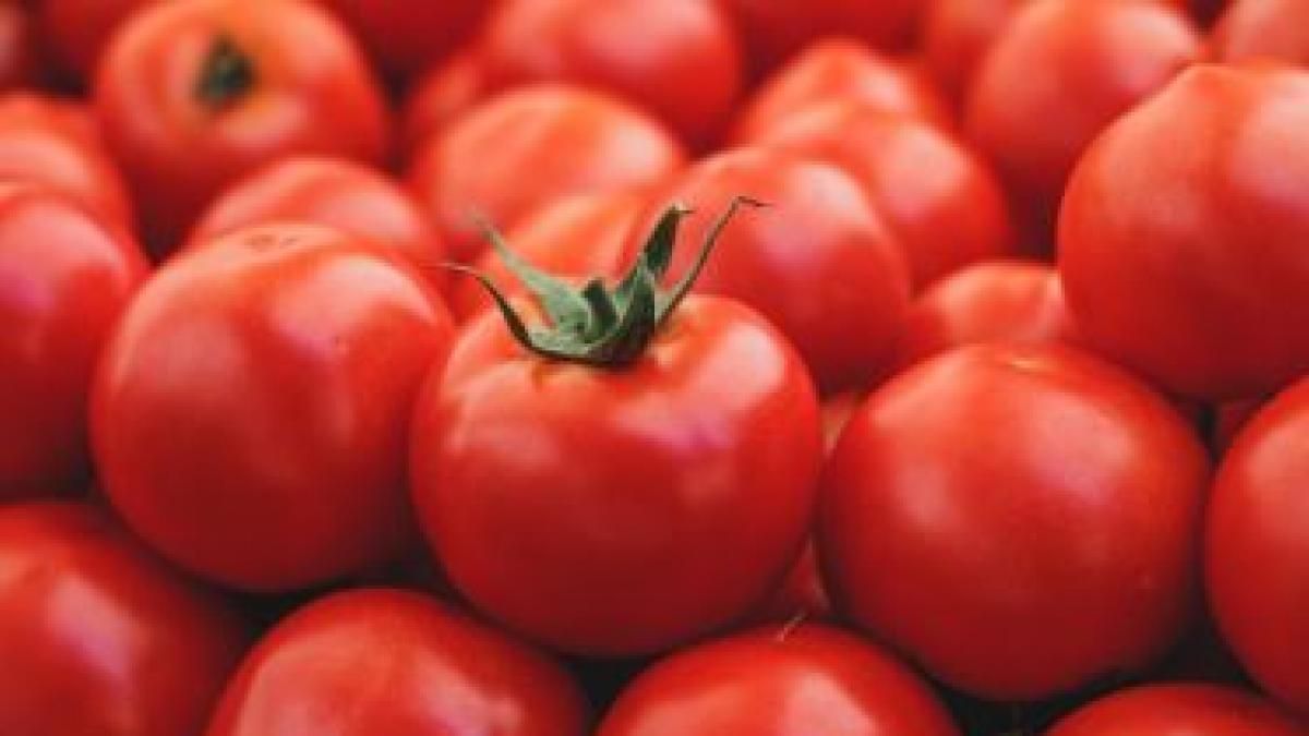 San Juan dio inicio al 14° Congreso Mundial del Tomate para Industria