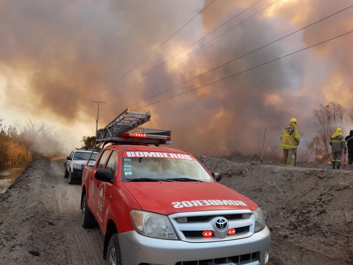Entre 30 y 40 hectáreas, afectadas por el incendio en Parque Sarmiento