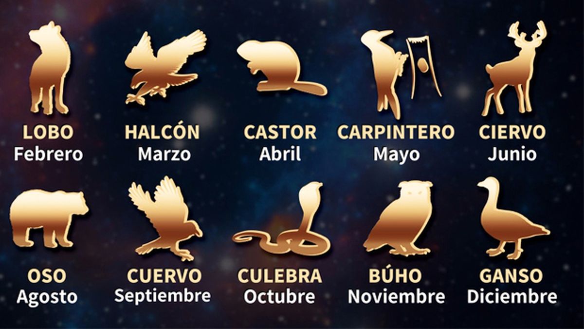 Los Signos Del Zodiaco Y Su Significado Hot Sex Picture 7222