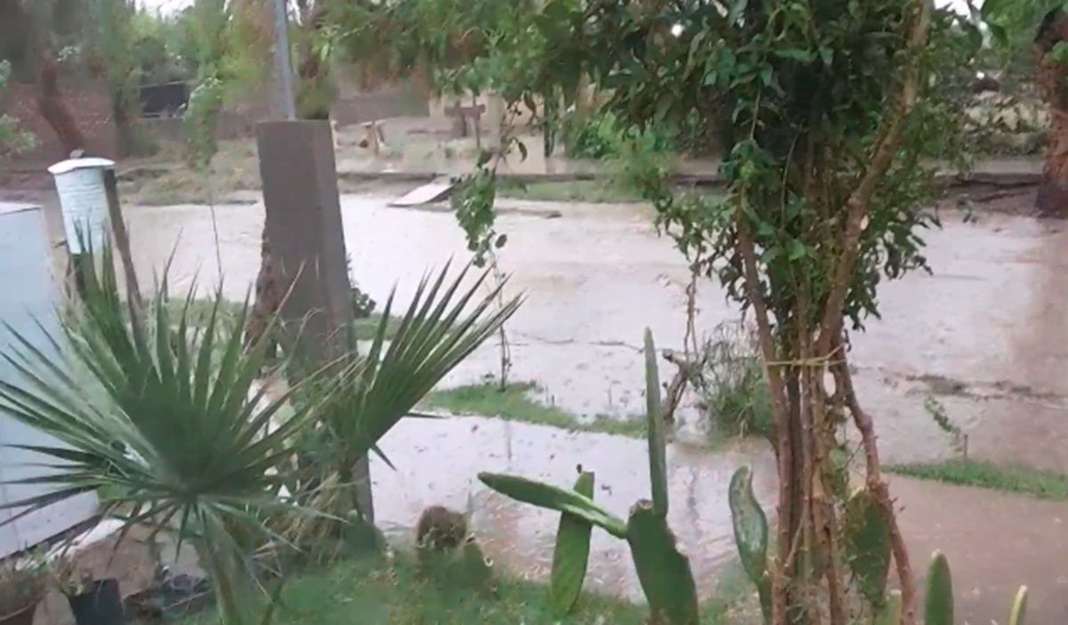 VIDEOS: Así fue la fuerte tormenta que afectó a Calingasta