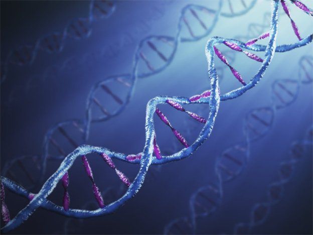 Ya es posible almacenar datos en el ADN