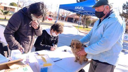 Vacunarán a las mascotas de los vecinos de Desamparados