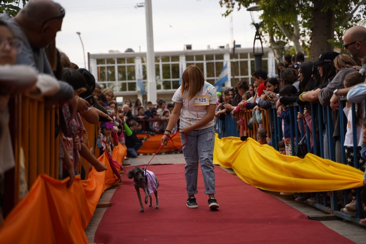 Color y alegría en el desfile de mascotas en Santa Lucía