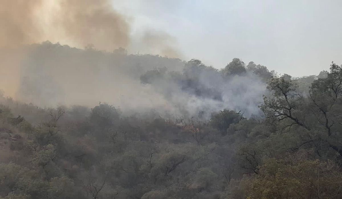 Los focos de incendio en Valle Fértil fueron contenidos