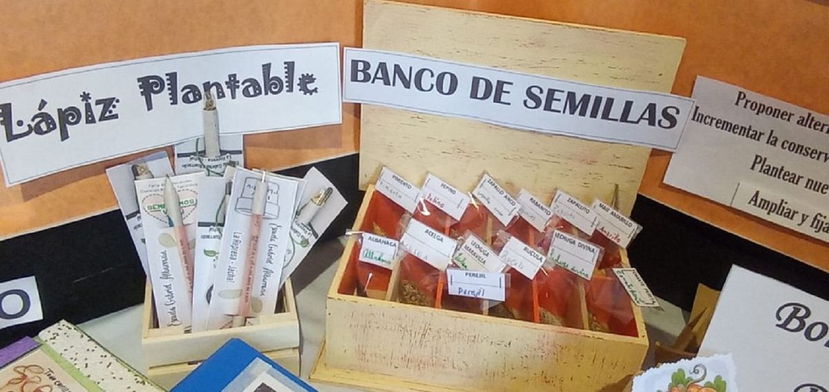 Alumnos de una escuela rural crearon su propio Banco de semillas