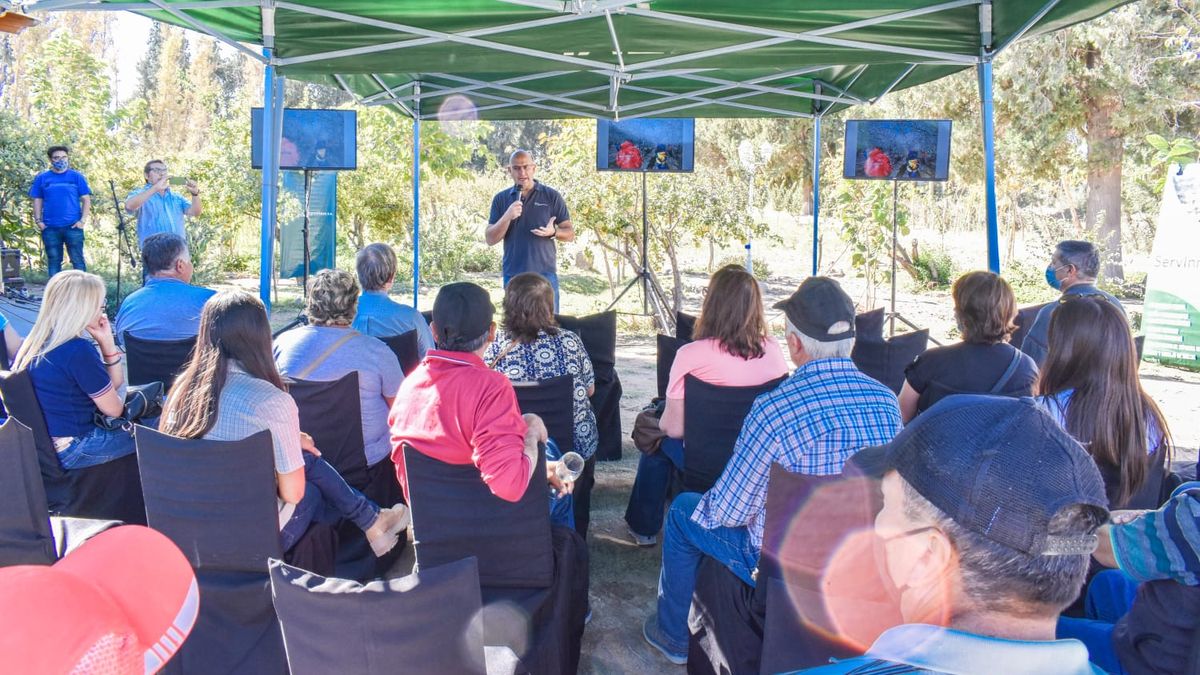 Minas Argentinas relaunched the program that supports quince producers