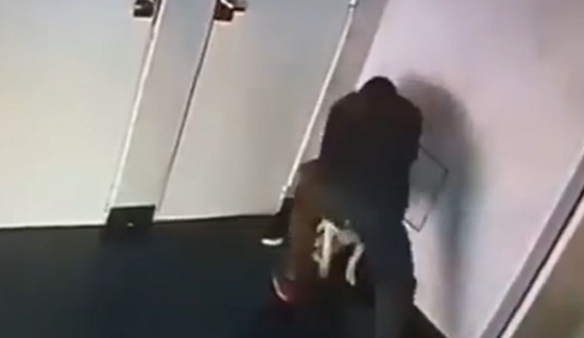 Torturó a su perra en el hall del edificio y los vecinos lo denunciaron