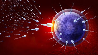 Los ocho mitos sobre la fertilidad masculina