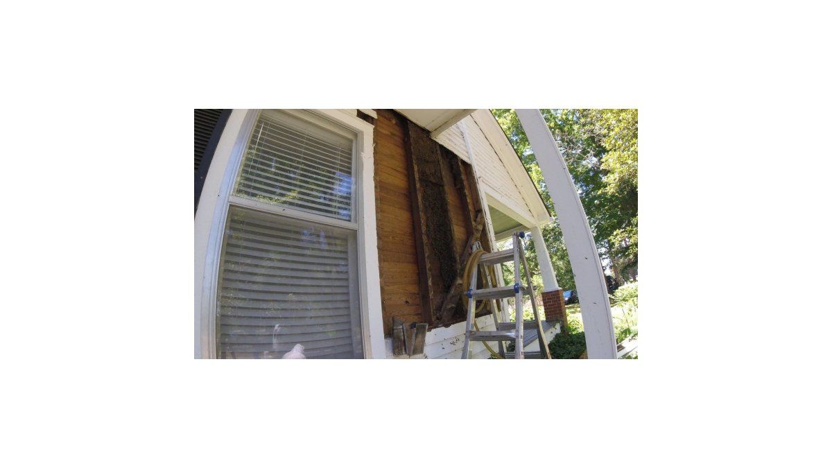 Hallaron una gran colmena, pegada a la pared de su casa por 50 años