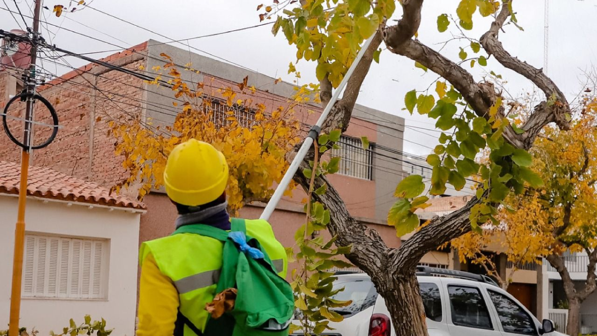 Rivadavia avanza con la poda del arbolado y alerta sobre posibles estafas