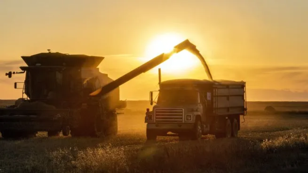Argentina se consolida como tercer mayor exportador del agro