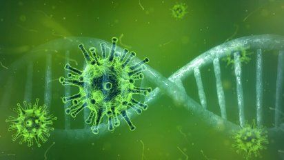 El Coronavirus se cobró la vida de 229 personas más.