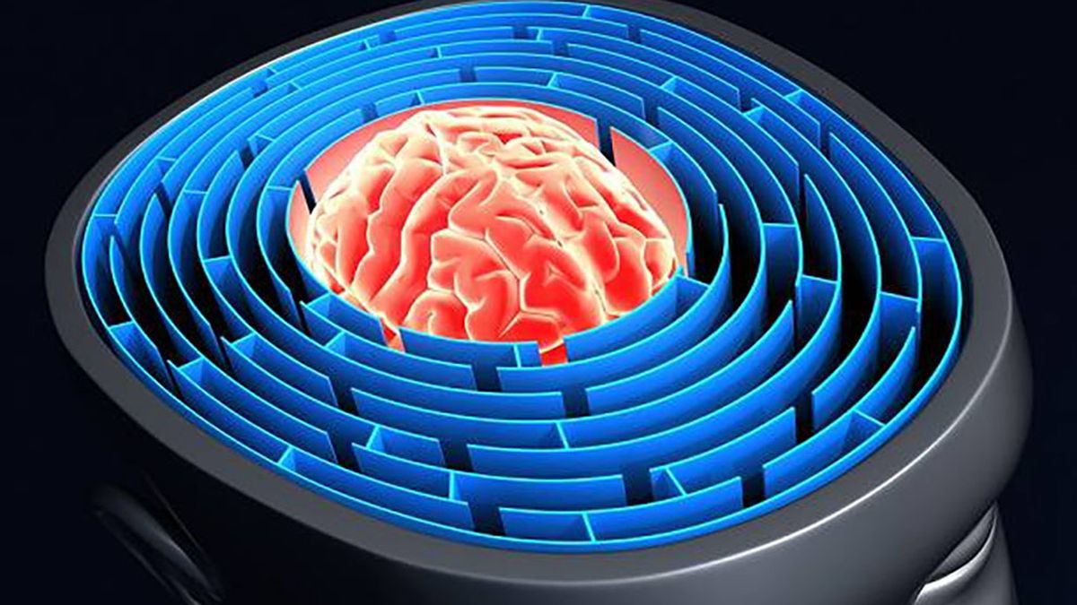 El Cerebro Organiza La Información Y Decide Qué Se Recuerda Y Qué Se Olvida