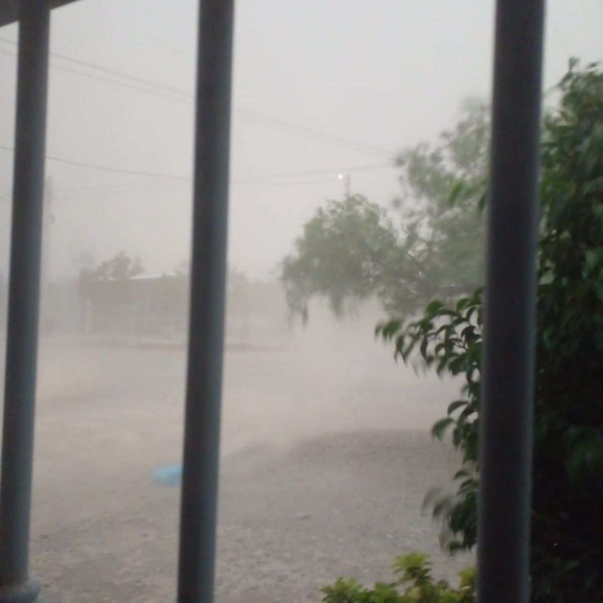 San Juan, entre las tres provincias con alerta por vientos para este jueves