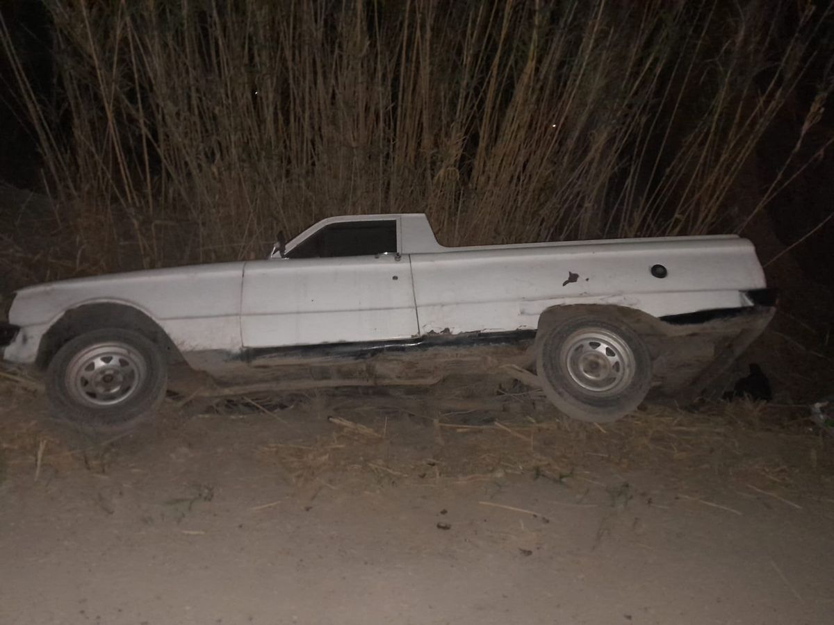 Siniestro vial en Médano de Oro: volcó una camioneta tras atropellar a un perro