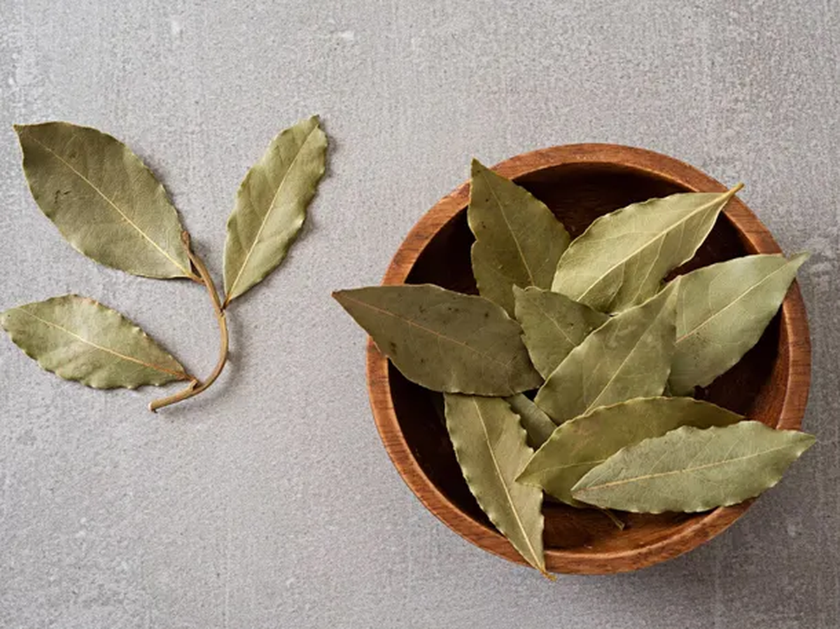 El ritual que atrae la buena suerte según dónde coloques una hoja de laurel en el árbol de Navidad