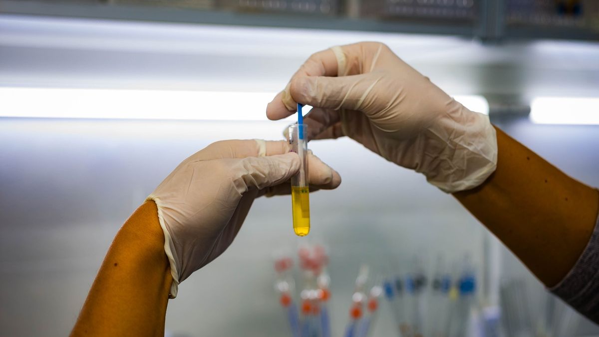 Por el Día del Cáncer de Próstata realizarán controles gratuitos en Santa Lucía