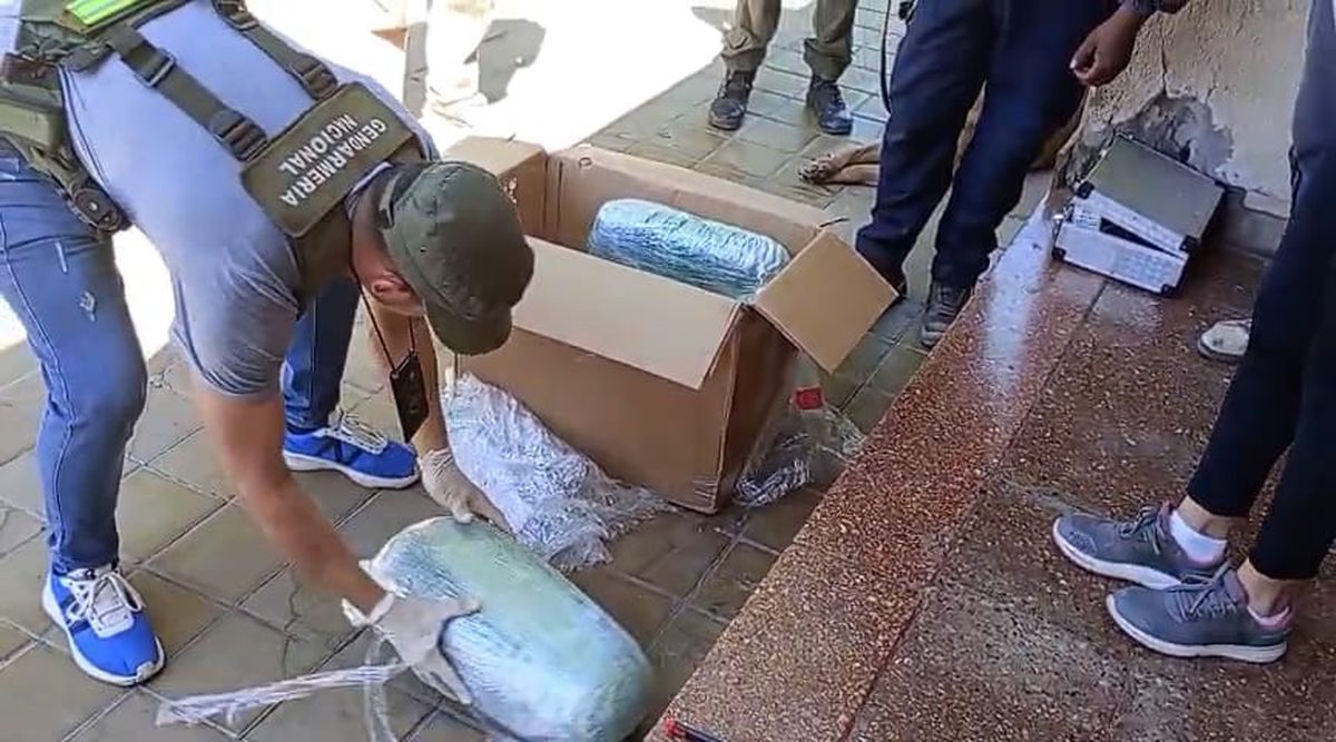De no creer: buscaron una encomienda con marihuana y quedaron detenidos en Caucete De no creer: buscaron una encomienda con marihuana y quedaron detenidos en Caucete