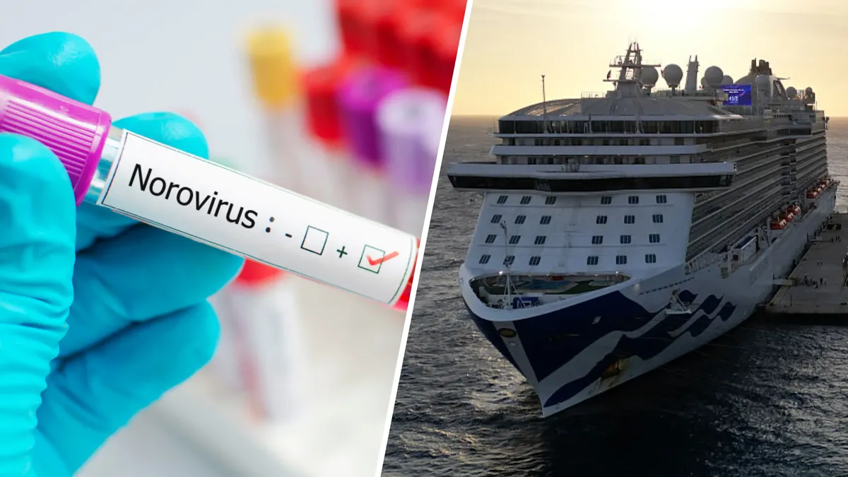Detectaron casos de norovirus en un crucero por el Caribe