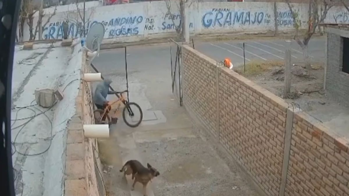 Una bicicleta, un ladrón y una inesperada reacción: el robo que quedó grabado en Chimbas