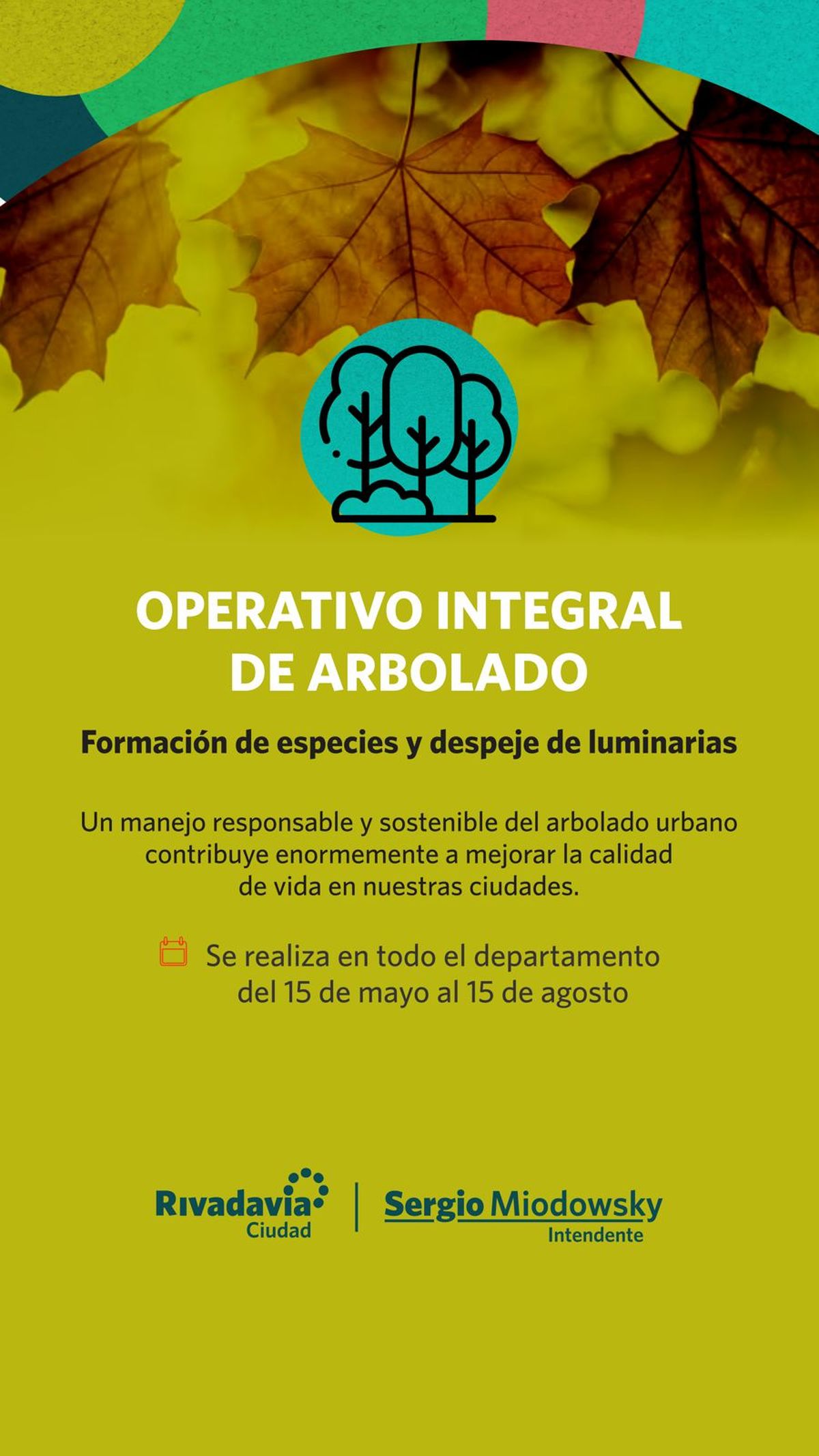 Rivadavia inicia su operativo integral de Arbolado 2024