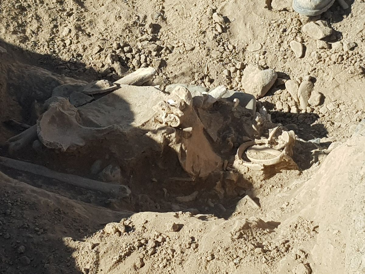 Hallaron restos óseos de tres personas en un pueblo de Iglesia