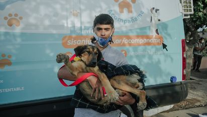 Acompañame: comenzó la esterilización de mascotas en Rivadavia