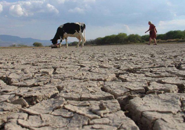 Sequía y heladas: San Juan, entre las diez provincias en emergencia
