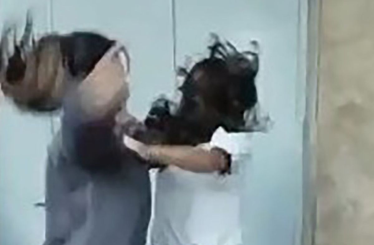 Dos niñas se pelearon y luego las madres se trenzaron a golpes