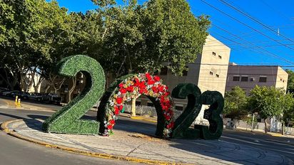 Navidad: cómo funcionan los servicios este domingo