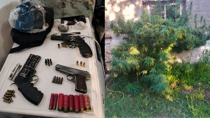 Robos en Rivadavia: secuestraron armas, municiones y plantas de marihuana